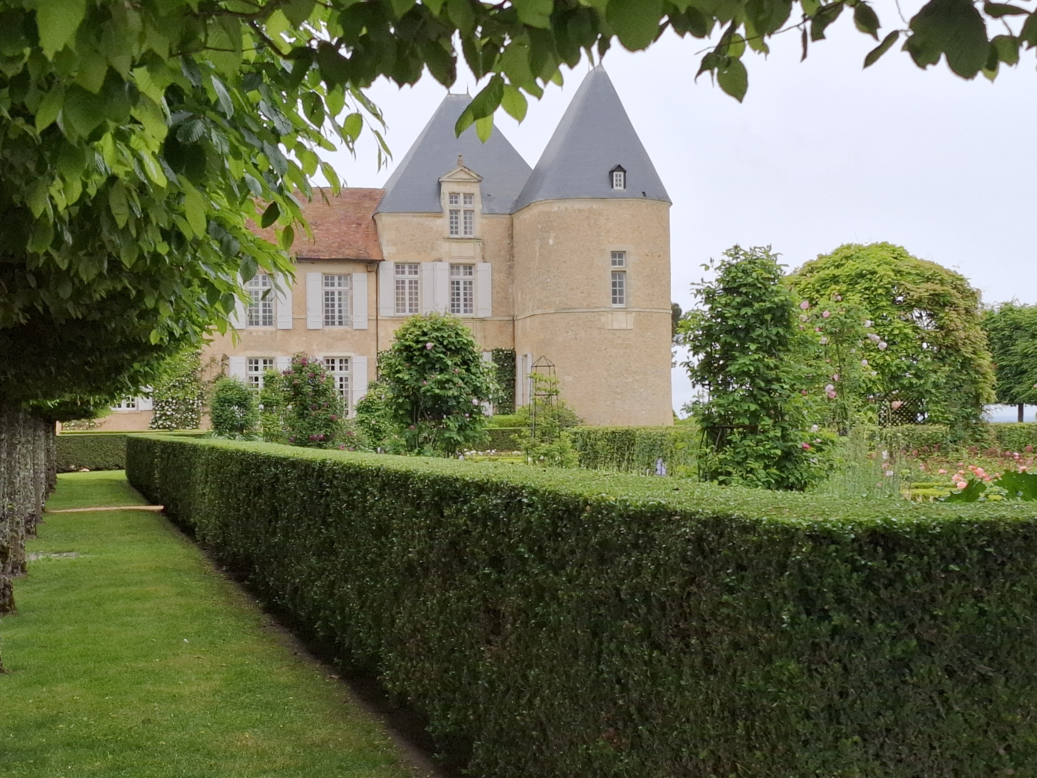 Château d'Yquem